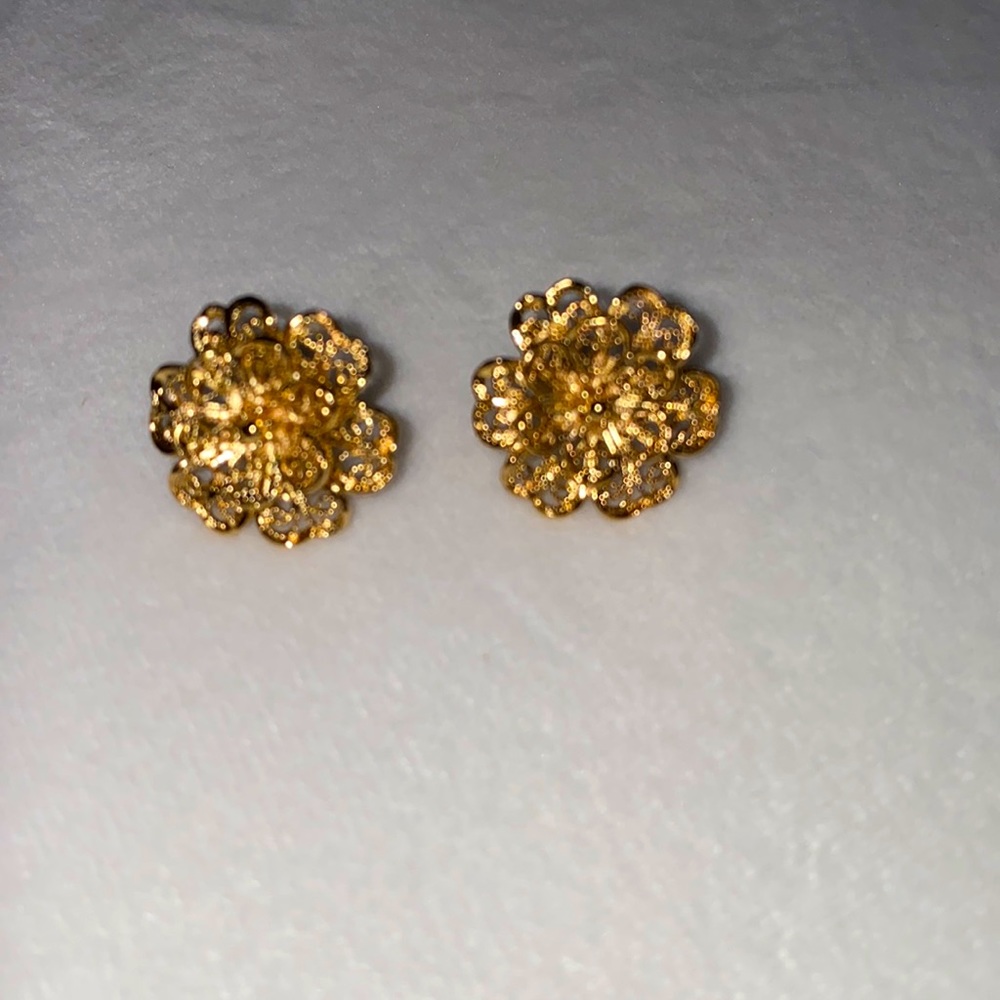 Plata cordobés earrings
